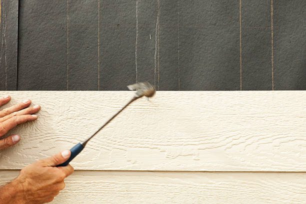 Best Siding Painting and Refinishing  in Wildwood Lake, TN